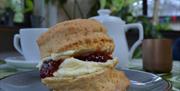Delicious homemade scones in the Corris Cafe at Corris Craft Centre