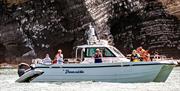 Passenger boat Dreamcatcher, with dolphin breaching alongside during a one hour dolphin spotting trip, cruising within the Cardigan Bay Special Area o