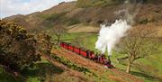 The two original loco's 'Talyllyn' and 'Dolgoch' dating from 1865 and 1866, pull the original carriages up the valley towards Abergynolwyn.  Pic Ralph