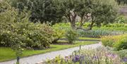 Llanerchaeron Walled Garden