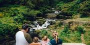 Hafren Forest | Viewing platform over cascades