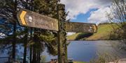 Glyndwr's Way, Llyn Clywedog