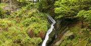 Hafod Estate Pieran Falls