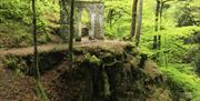 Hafod Estate woodlands