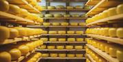 Cheese Store Caws Teifi Cheese