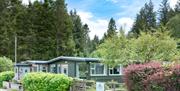 Hafren Forest Hideaway chalet-style accommodation, close to Hafren Forest and Llyn Clywedog