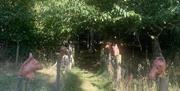 Part of the sculpture trail- horses heads on face posts.