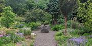 Overlooking the blue garden filled with blue conifers and blue flowering perennials