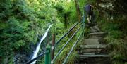 Devil's Bridge Falls