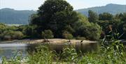 Llyn Coed y Dinas Nature Reserve