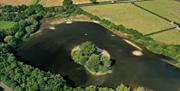 Llyn Coed y Dinas Nature Reserve