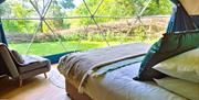 Glamping Dome