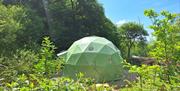 Glamping Dome