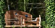 Cosy Woodland Hut