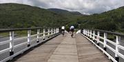 Penmaenpool Bridge near Barmouth