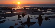 Borth Beach | Petrified Forest