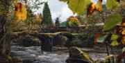 Pont Minllyn, Dinas Mawddwy
