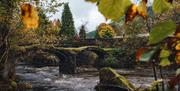 Pont Minllyn | Minllyn Bridge