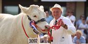 The Royal Welsh Show attracts thousands of livestock exhibitors from across Wales, the UK and beyond.