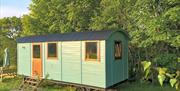 Wild Meadow Camping Shepherds Hut