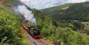 Steam and scenery at Vale of Rheidol Railway