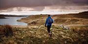 Cambrian Mountains | Teifi Pools