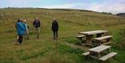The Epynt Way