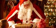 Santa's Grotto @ Y Consti