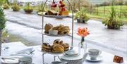 Penrallt afternoon tea