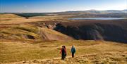 Cambrian Mountains