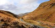 Cambrian Mountains