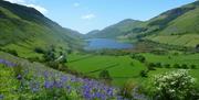 Views from Dolffanog Fawr towards Talyllyn Lake