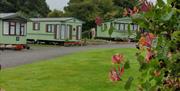 Goetre Caravan Park