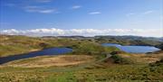 Llyn Teifi - Teifi Pools