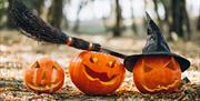 Half Term Halloween at Silver Mountain