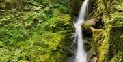 The lower falls at Dolgoch