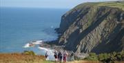 Ceredigion Coast Path | near New Quay