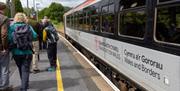 Walkers at Cynghordy station