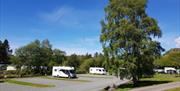 Woodlands Caravan & Camping Park