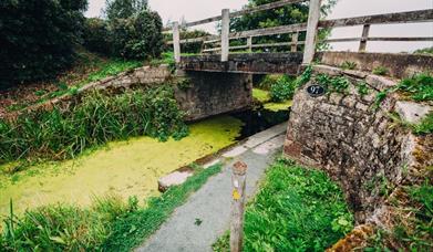 The Montgomery Canal near the Offa's Dyke Path in Powys