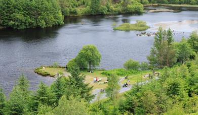 Looking down on the lake among the forest at Bwlch Nant yr Arian near Aberystwyth