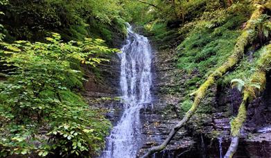 Warren Wood Waterfalls