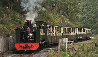 Vale of Rheidol Railway