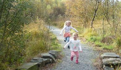 Coed y Bont Community Woodland