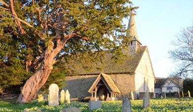 St Michael's Church | Discoed Yew