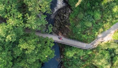 Coed y Brenin Forest Park