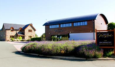 Kerry Vale Vineyard, near Montgomery