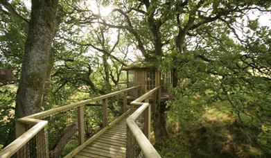 Nannerth Private Nature Reserve | Treehouse Hide