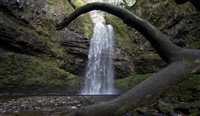 A low shot showing the height of Henrhyd Falls