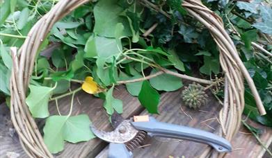 Wreath making Workshop RSPB Ynys-hir